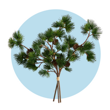 Load image into Gallery viewer, Faux Greenery